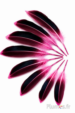 Anatra - 8-10 cm - rosa
